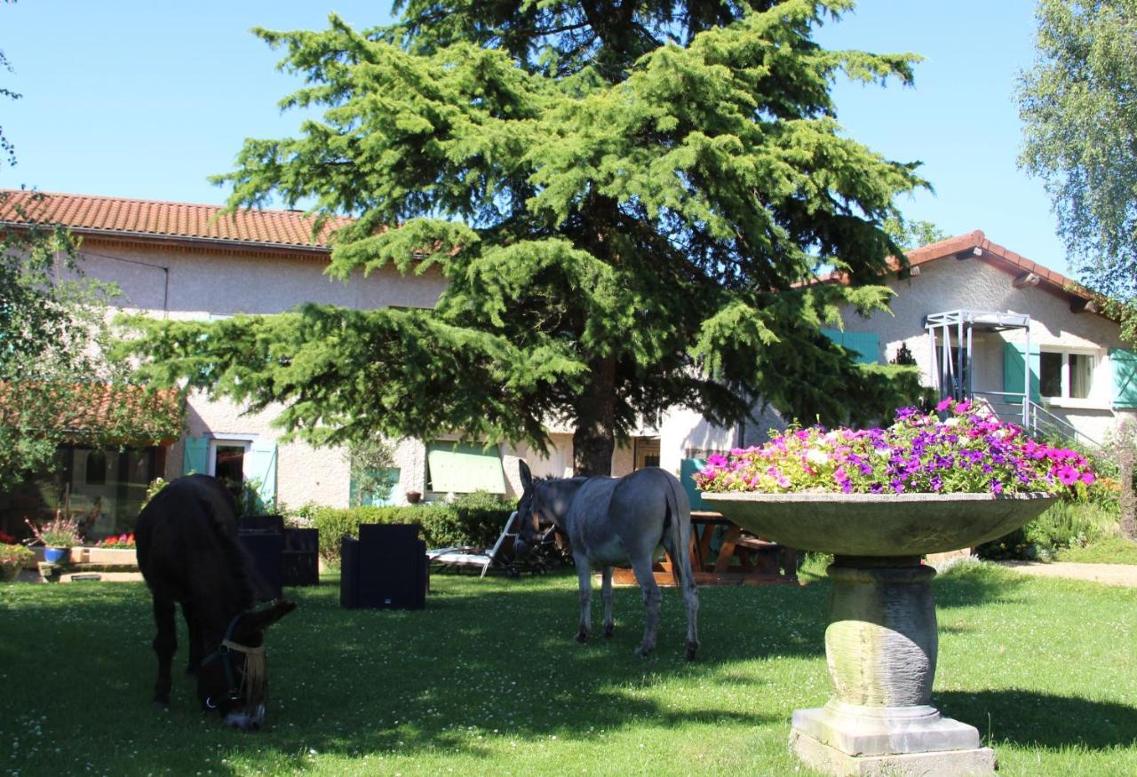 La Ferme De Capucine Bed & Breakfast Culhat Exterior foto