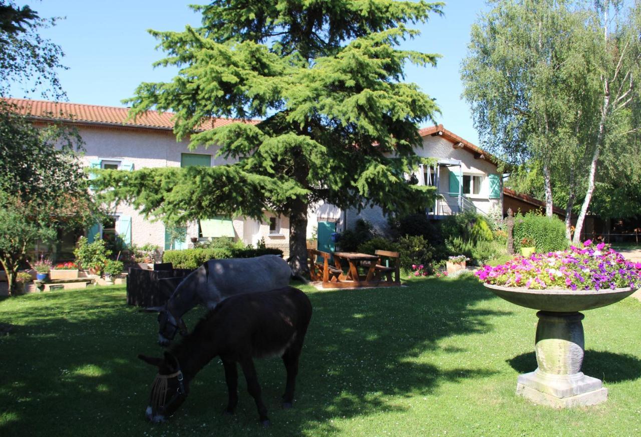La Ferme De Capucine Bed & Breakfast Culhat Exterior foto